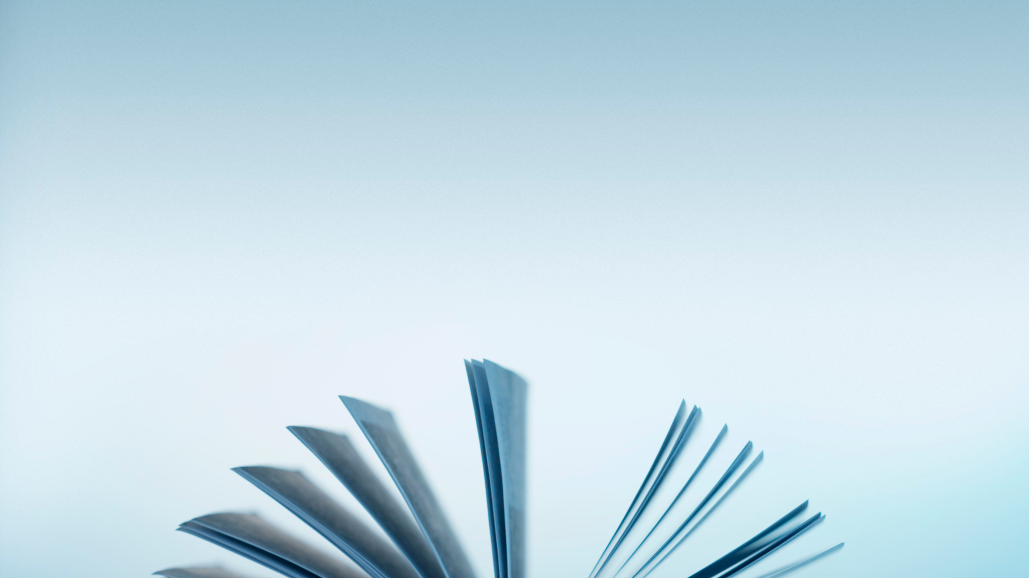 background12