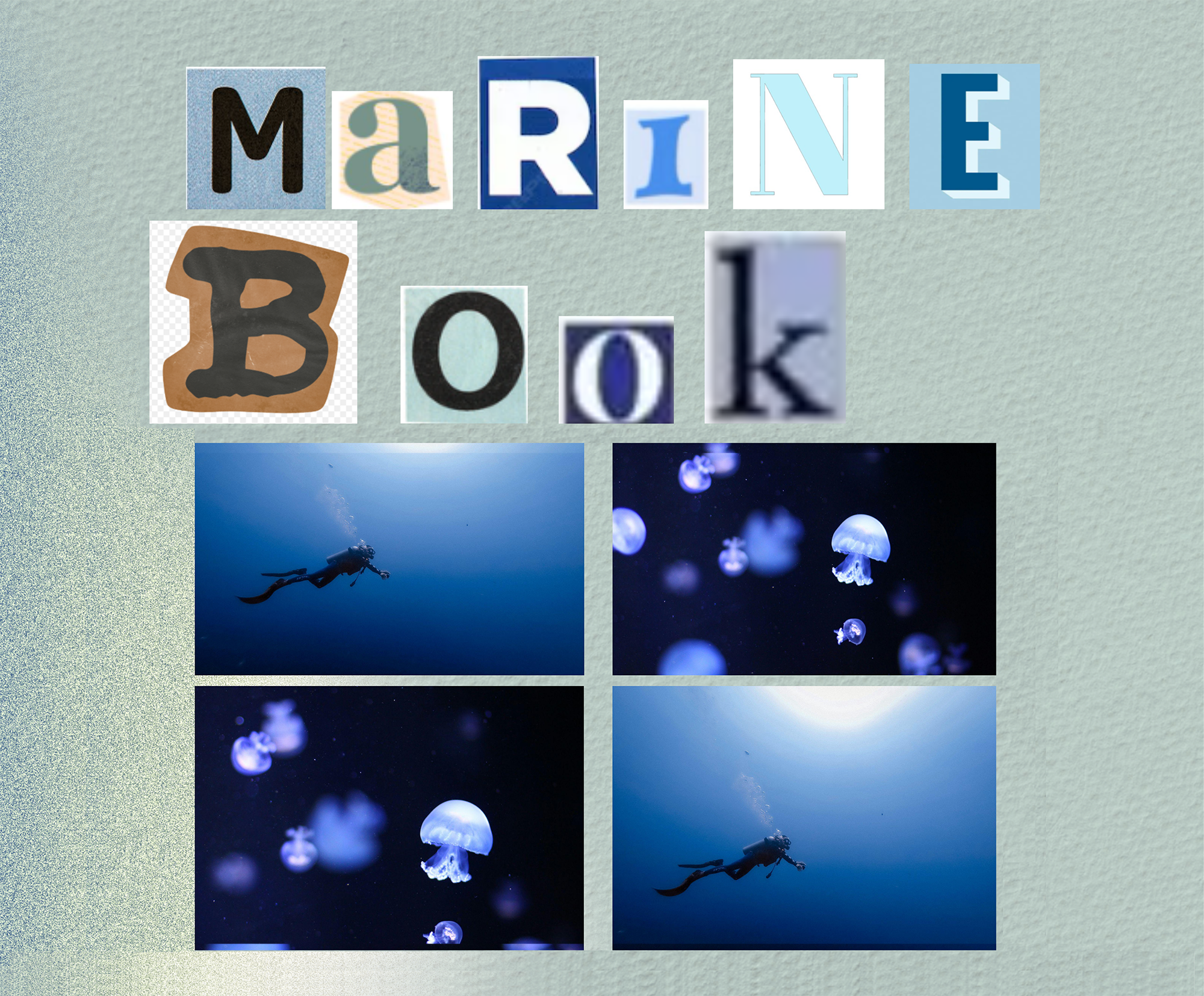 marine book